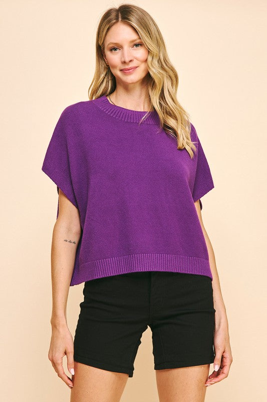 Celia Sweater Top in Purple