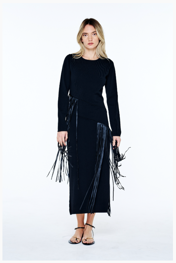 Fringe Long Sleeve Dress