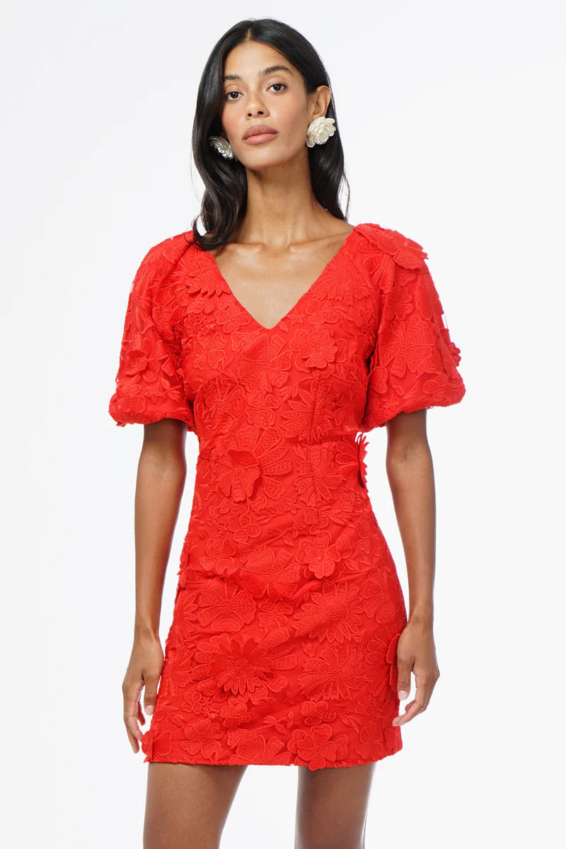 Hustina 3D Lace Dress