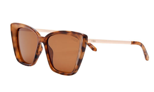 Aloha Fox Sunglasses
