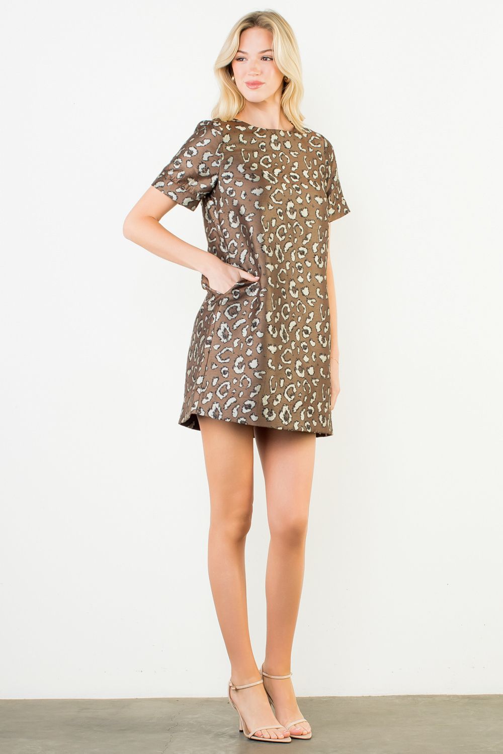 Leopard Print Dress