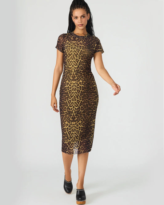 Hailee Hot Spots Dress