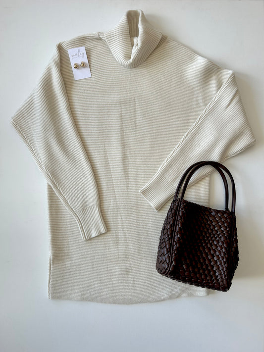 Anya Turtleneck Tunic Length Sweater