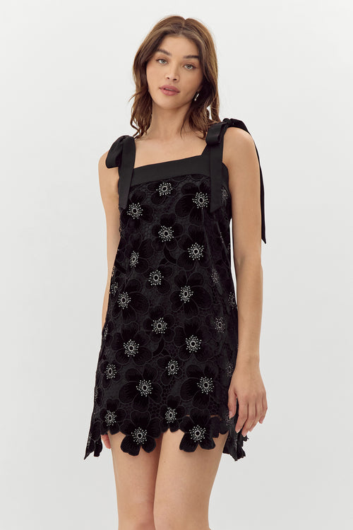 Jolene Crochet Velvet Dress