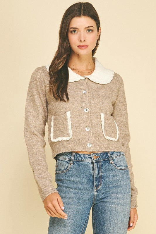 Lovely Collared Sweater