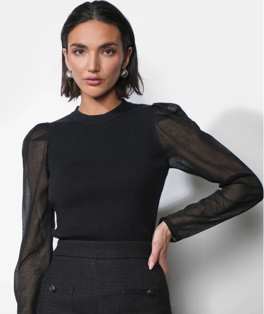 Honey Sheer Sleeve Sweater Top