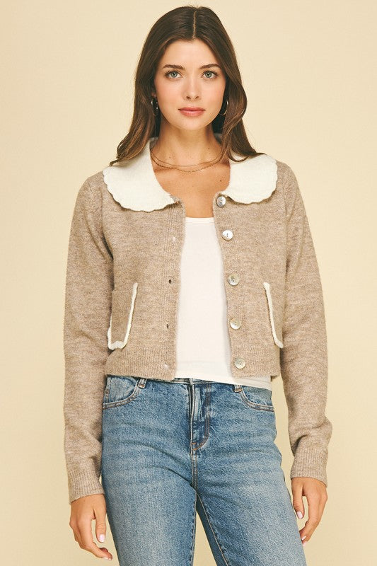 Lovely Collared Sweater