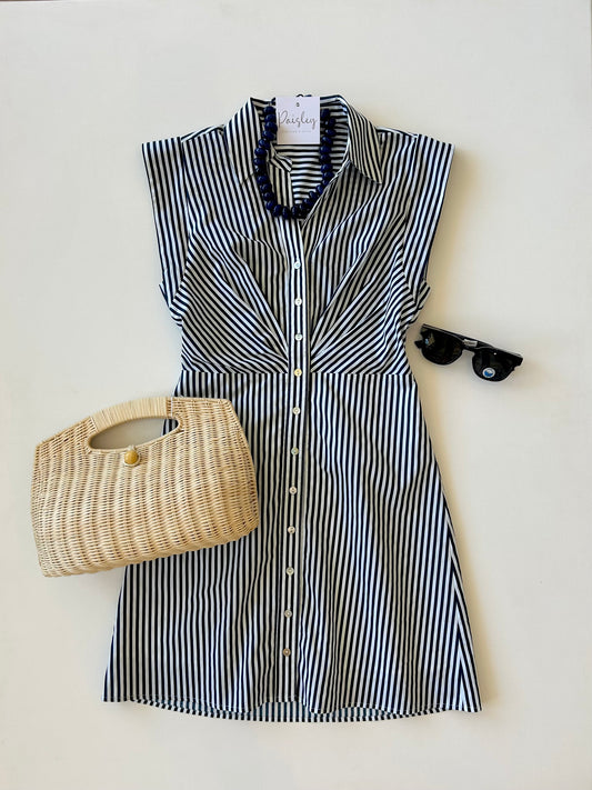 Eli Navy Striped Mini Dress