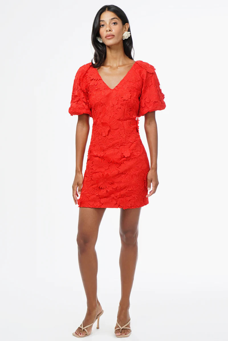 Hustina 3D Lace Dress