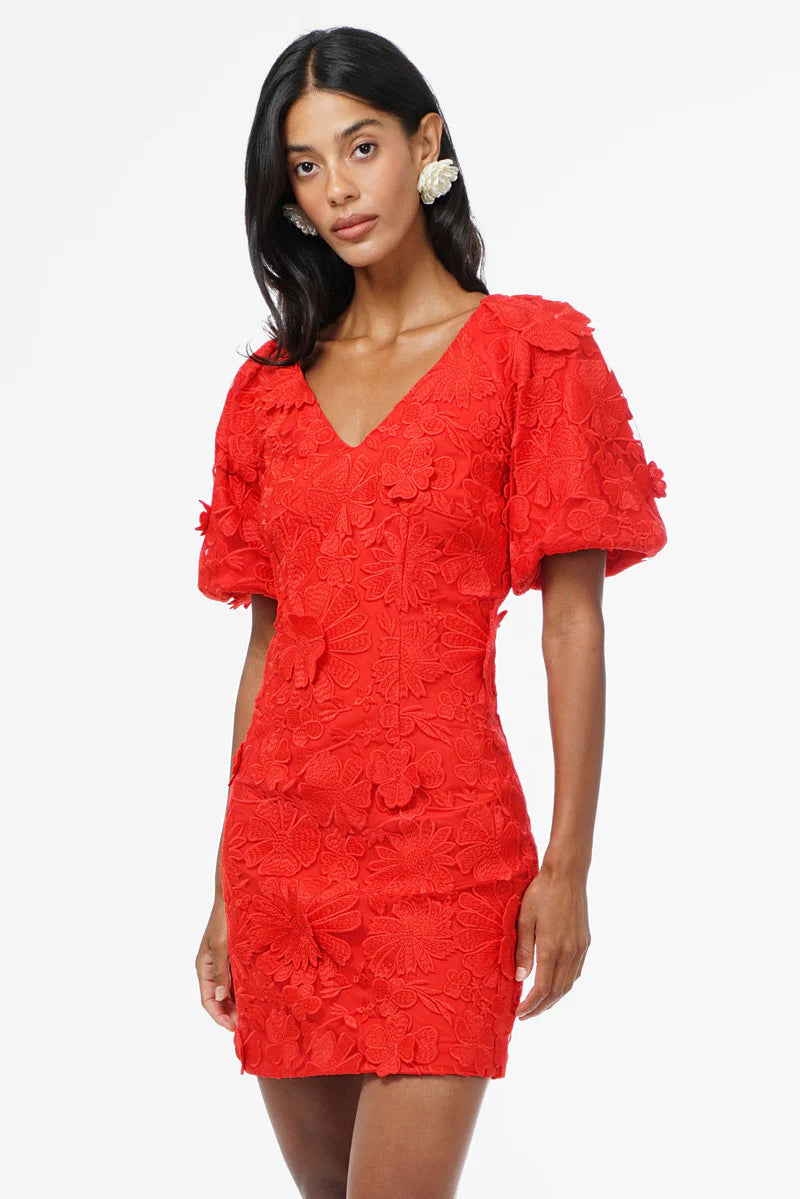 Hustina 3D Lace Dress
