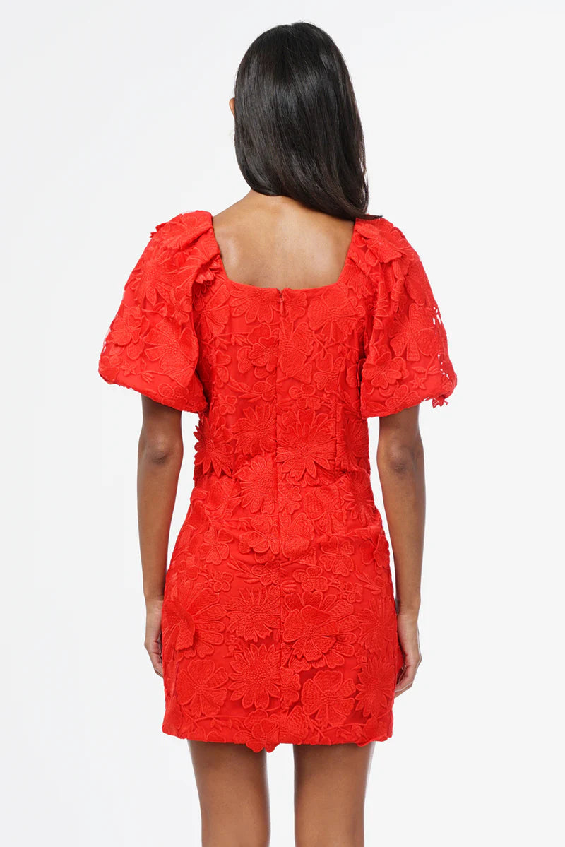 Hustina 3D Lace Dress