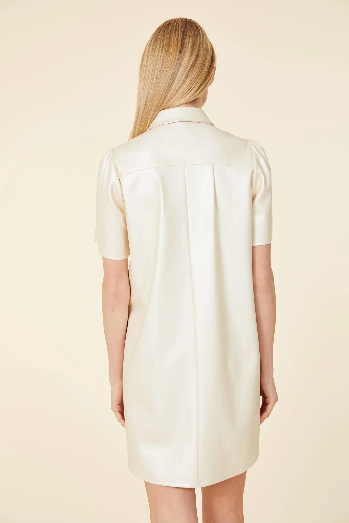 Greta Pearl faux Leather Dress