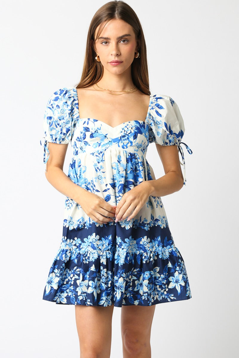 Ava Blue Floral Dress